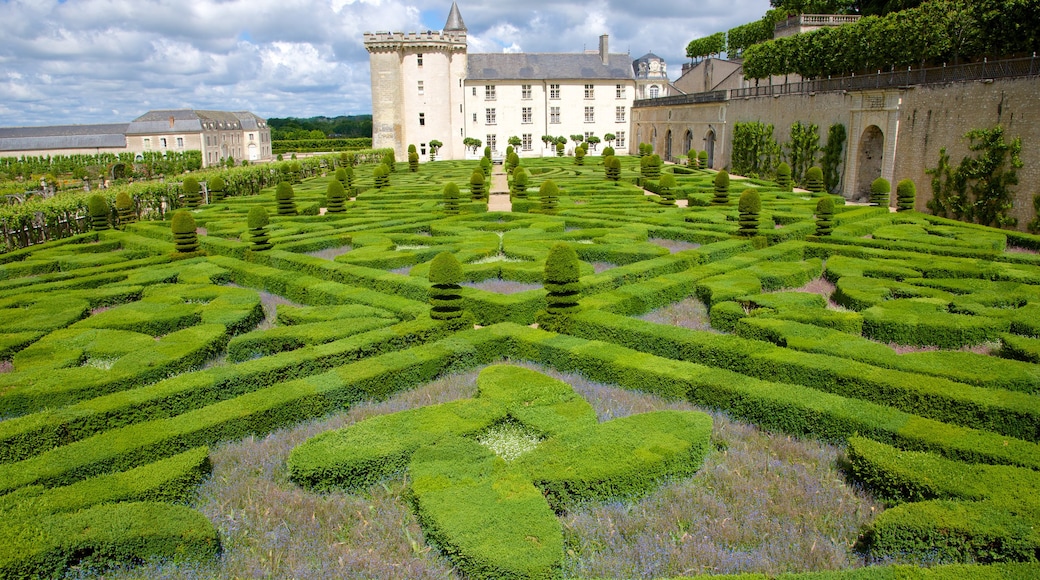 Chateau de Villandry showing a garden and a castle