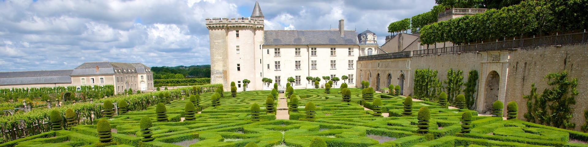Château de Villandry qui includes jardin et château