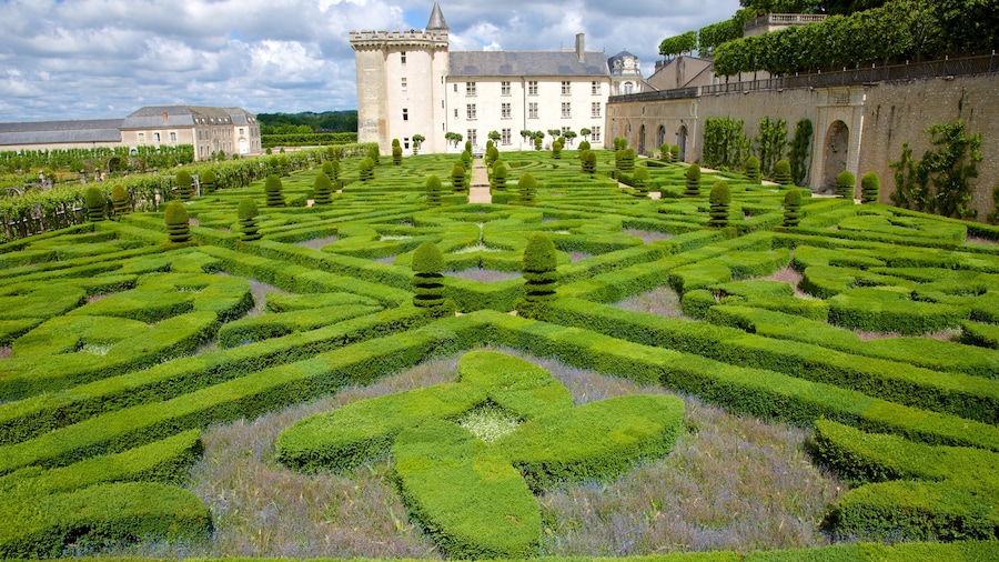 Chateau de Villandry showing a garden and a castle