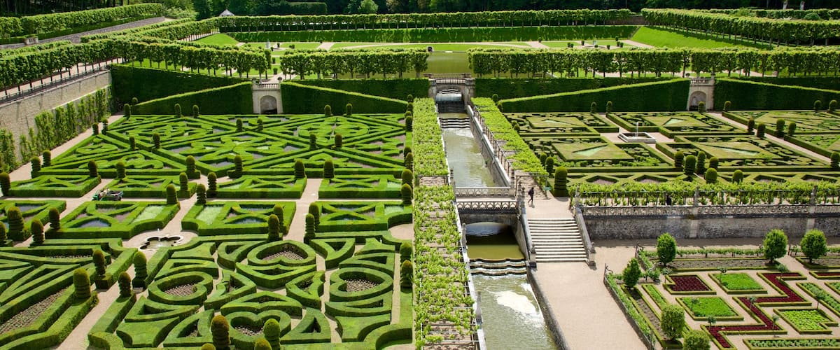 Chateau de Villandry featuring a garden and a castle