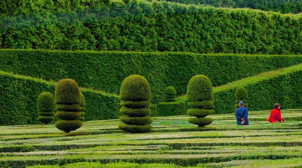 Château de Villandry bevat een park en een kasteel