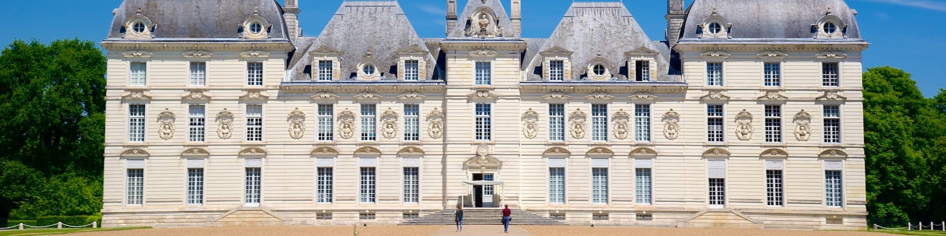 Chateau de Cheverny featuring a castle and heritage architecture