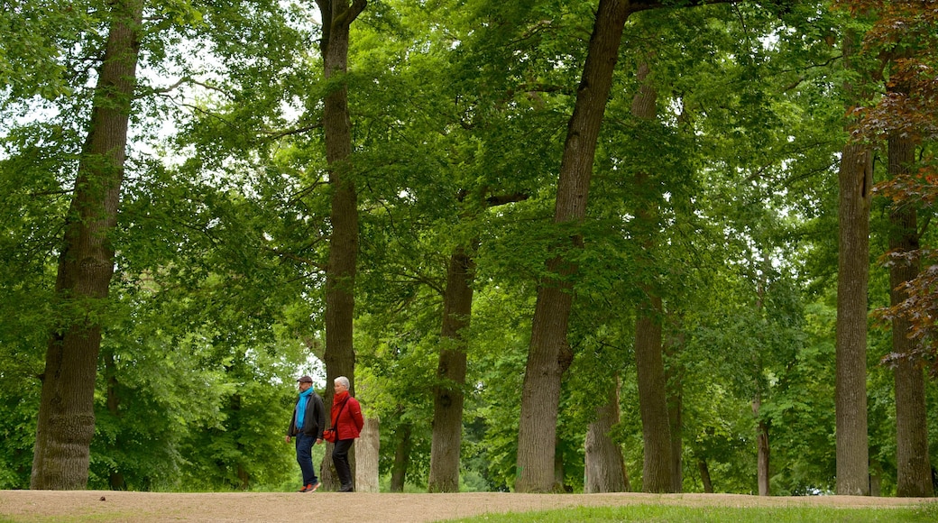 Château de Valençay toont een park en ook een stel