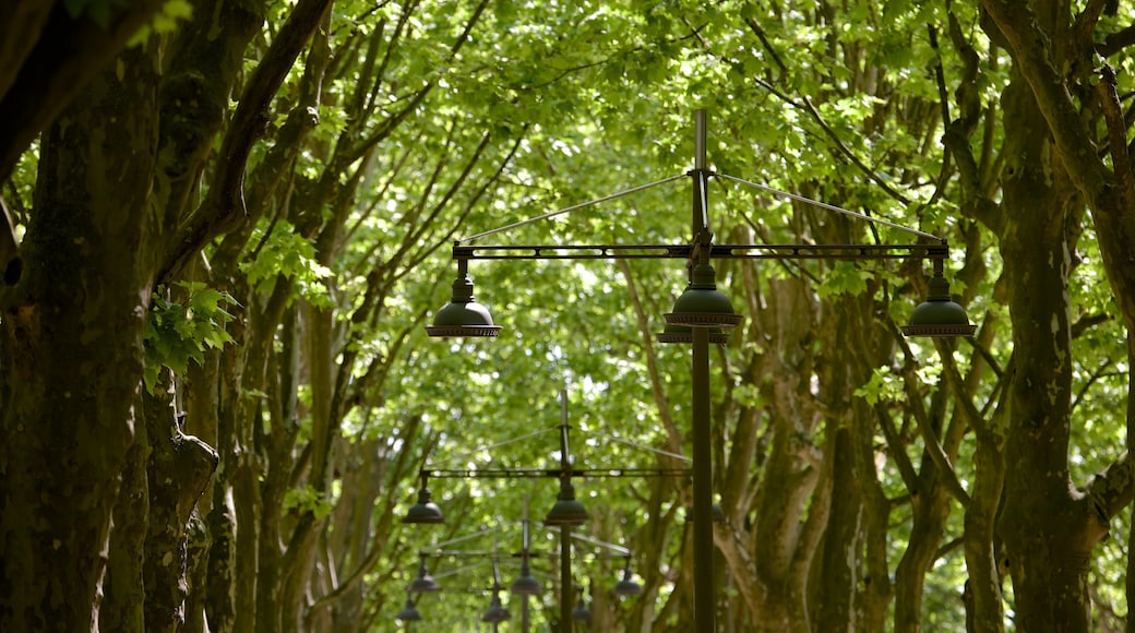 Place des Quinconces qui includes jardin