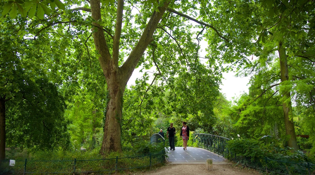 Jardin Public presenterar en park och en bro