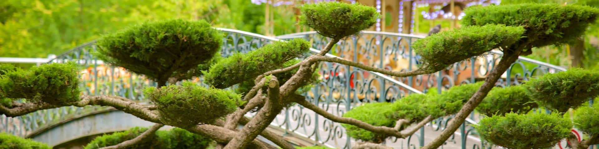 Jardin Public showing a park and rides