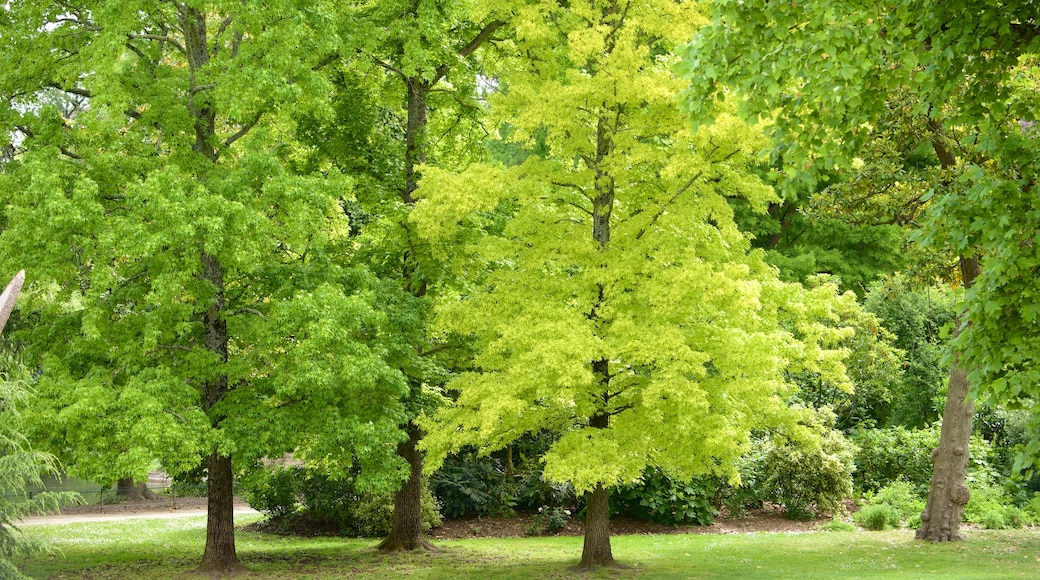 Jardin Public toont een tuin