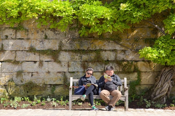 Château d\'Amboise qui includes parc aussi bien que couple