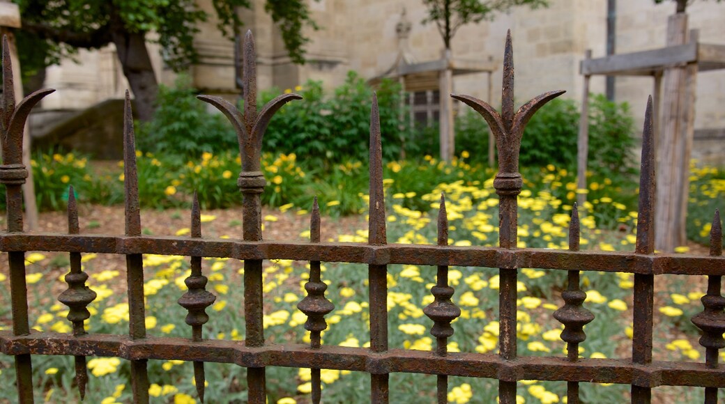 Basilique Saint-Michel toont bloemen