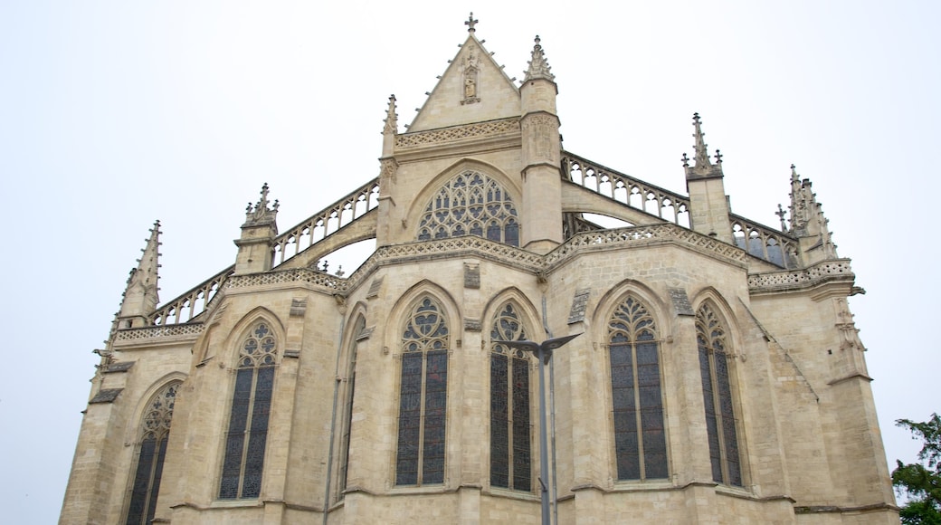 Basilique Saint-Michel inclusief een kerk of kathedraal en historische architectuur