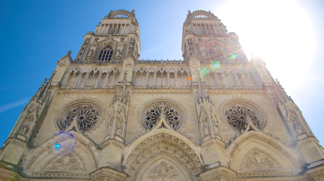 Cathédrale Sainte-Croix inclusief historische architectuur en een kerk of kathedraal