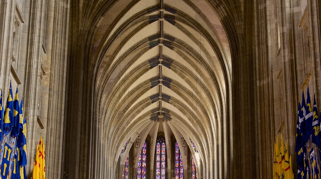 Cathédrale Sainte-Croix inclusief historische architectuur, een kerk of kathedraal en interieur