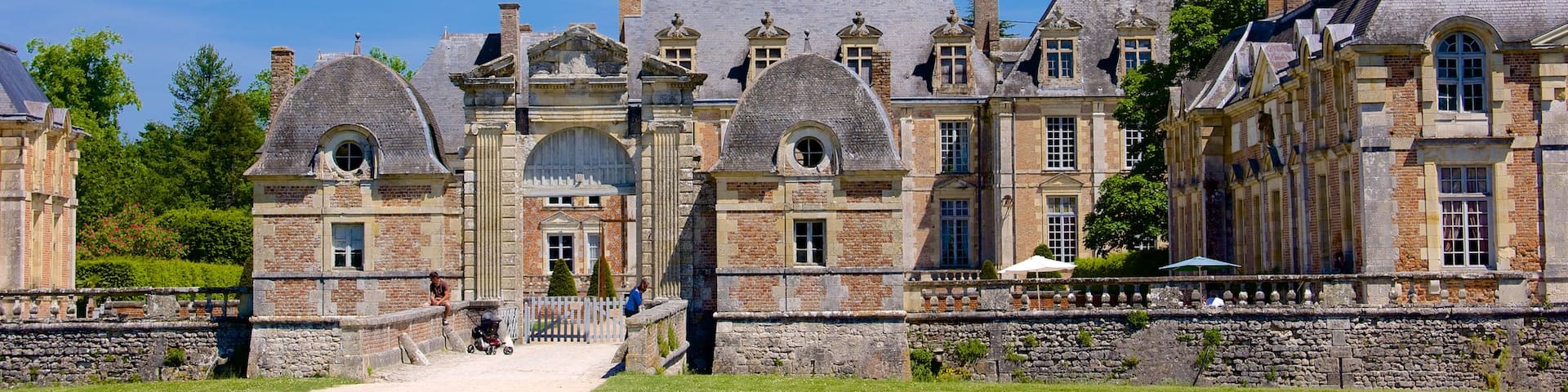 Chateau de la Ferte-St-Aubin featuring chateau or palace and heritage architecture