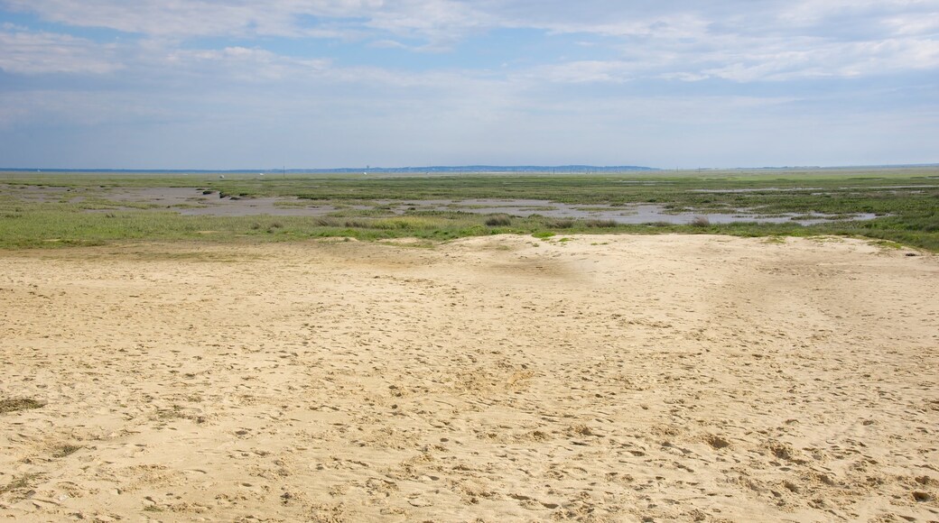 Bordeaux som visar en strand