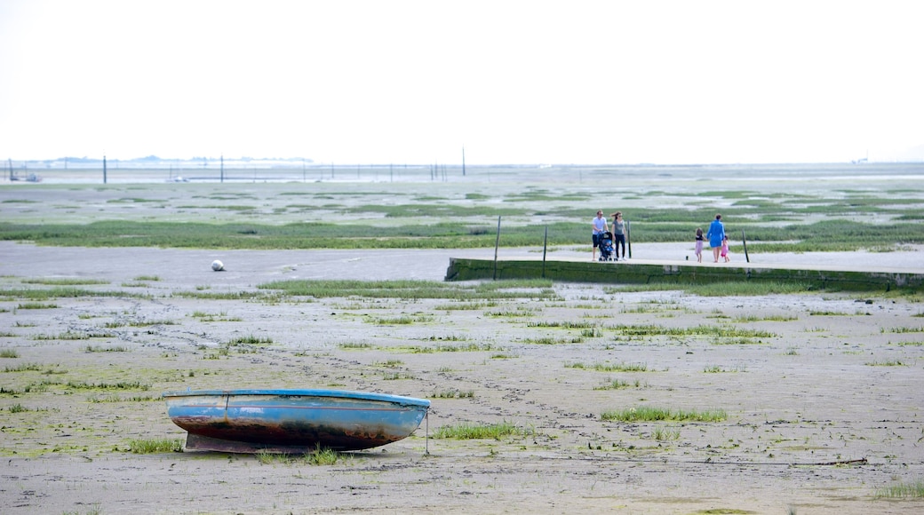 Bordeaux showing a beach