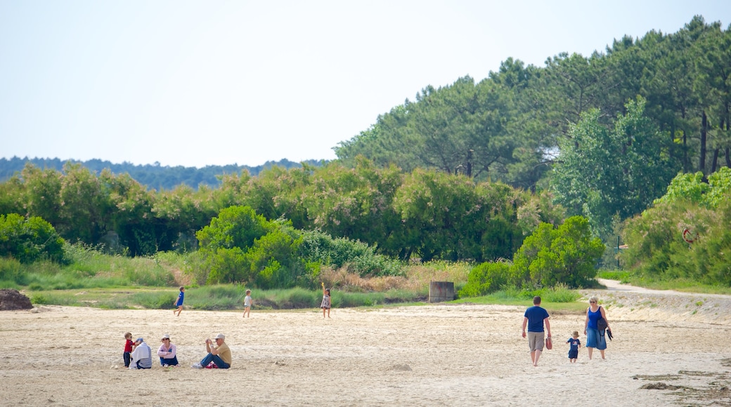 Bordeaux which includes a beach