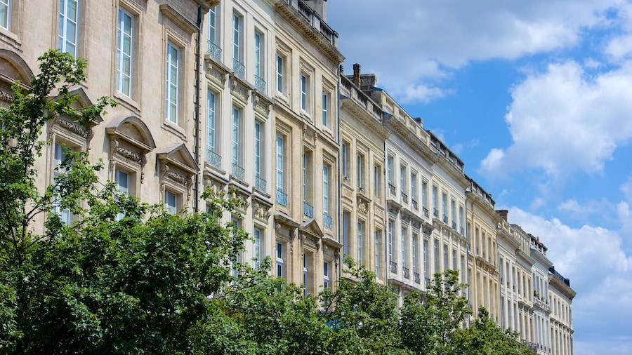 Bordeaux inclusief theaters en historische architectuur