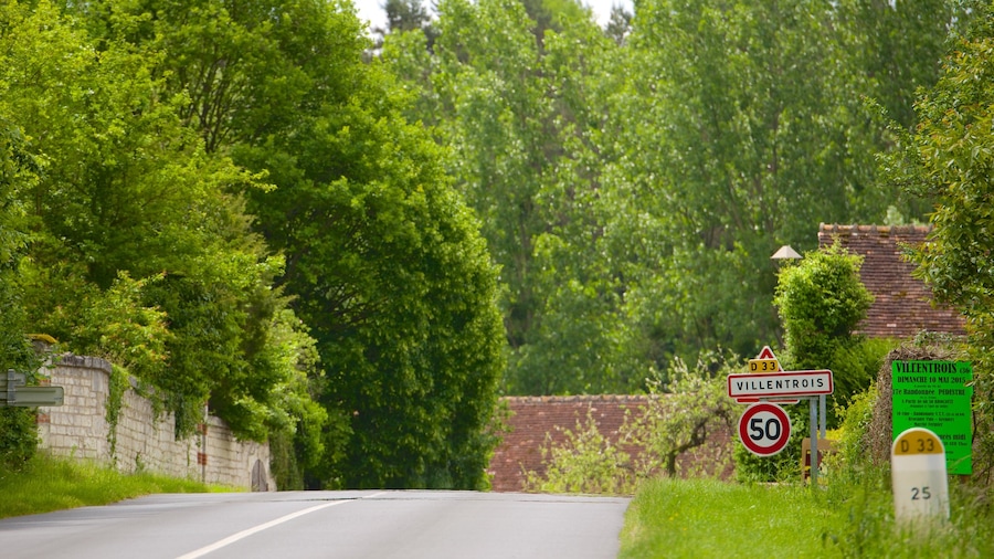 Centre - Loire Valley which includes a small town or village