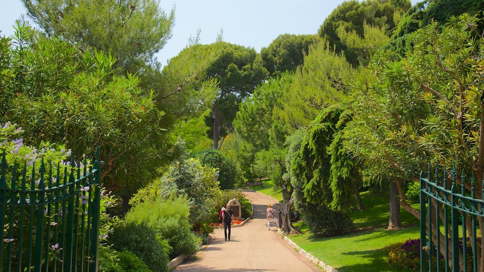 Monaco montrant jardin