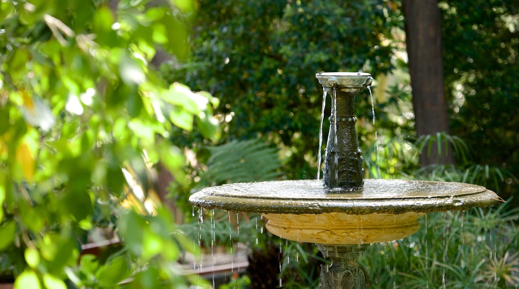 Monaco mit einem Springbrunnen