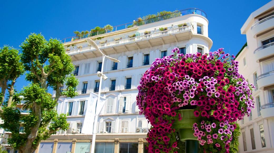 Provence qui includes fleurs