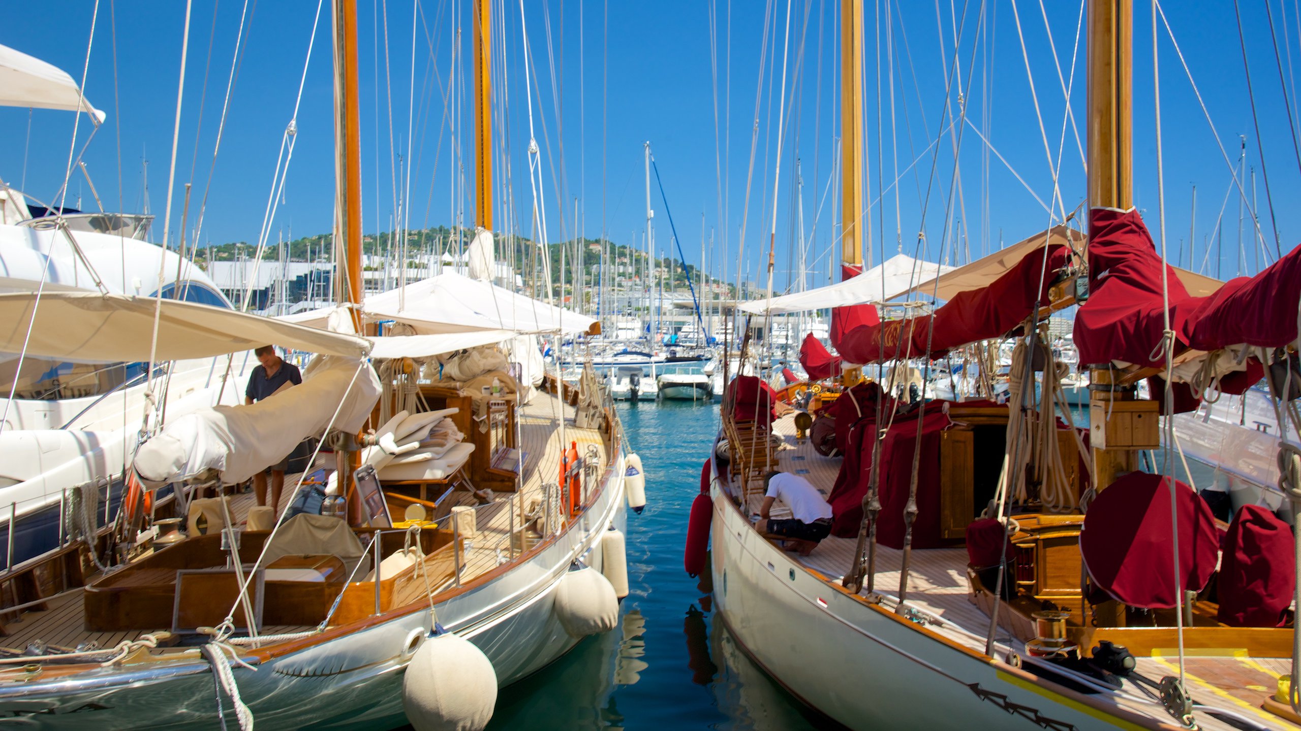 Cannes Harbour showing a marina