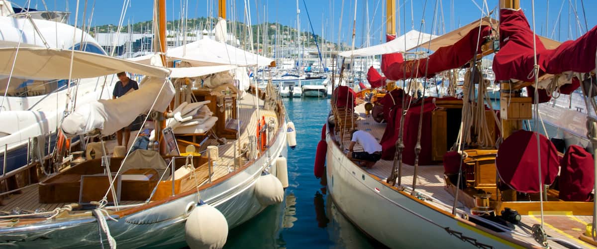 Cannes Harbour featuring a marina