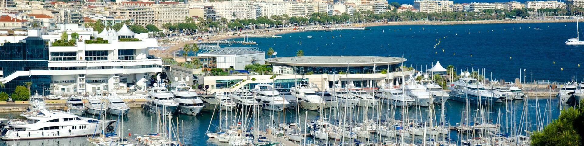Cannes Harbour showing a coastal town and a marina