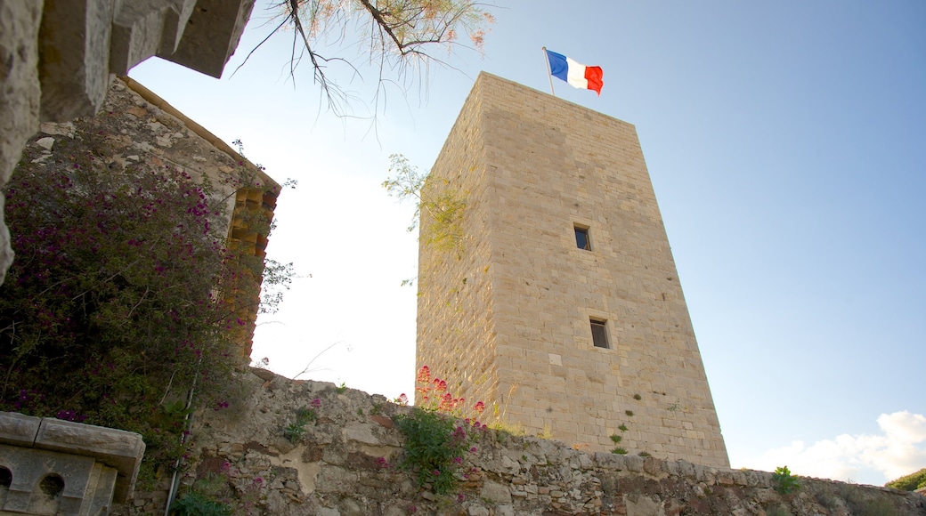 Musée de la Castre mostrando architettura d\'epoca