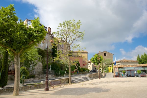 Mougins showing a small town or village