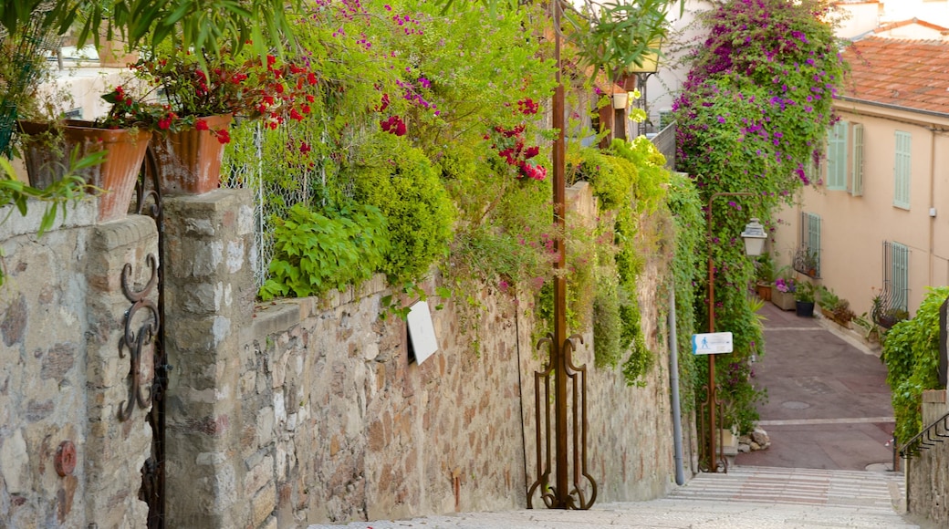 Casco antiguo de Cannes mostrando una pequeña ciudad o pueblo