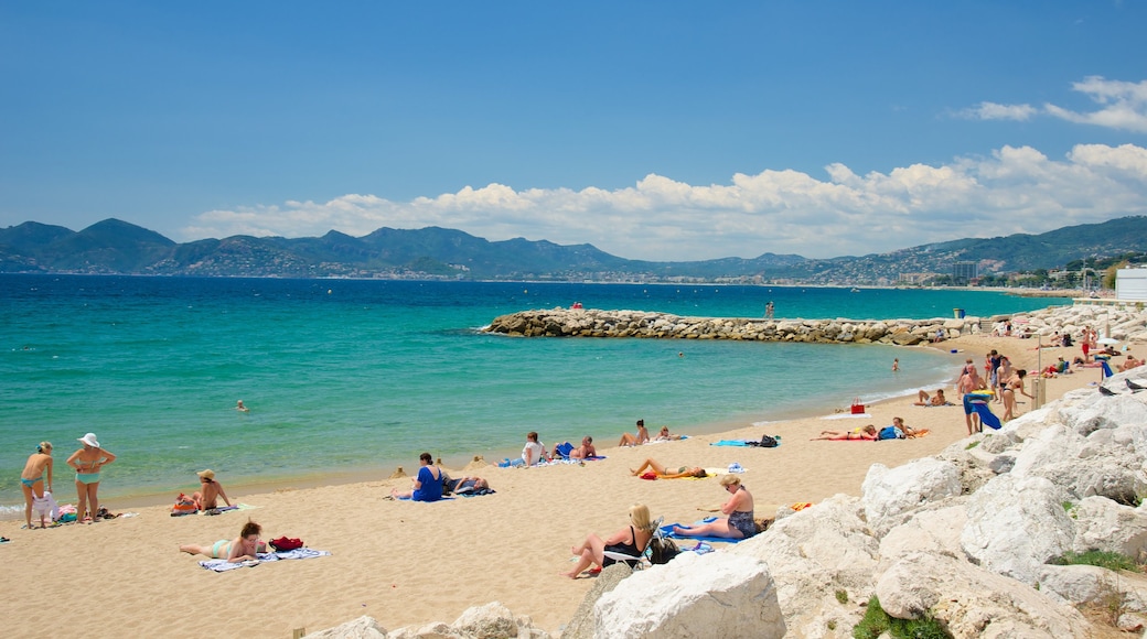 Plage du Midi qui includes plage de sable