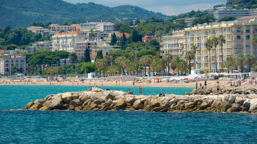 Spiaggia di Midi mostrando località costiera e spiaggia