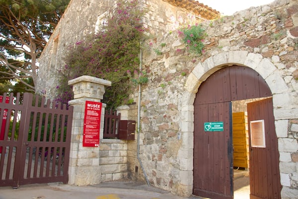 Castre Museum