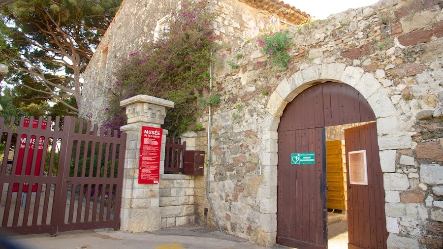 Castre Museum
