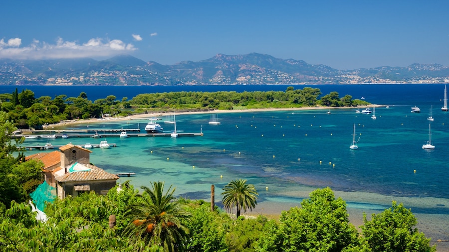Fort Royal bevat een baai of haven