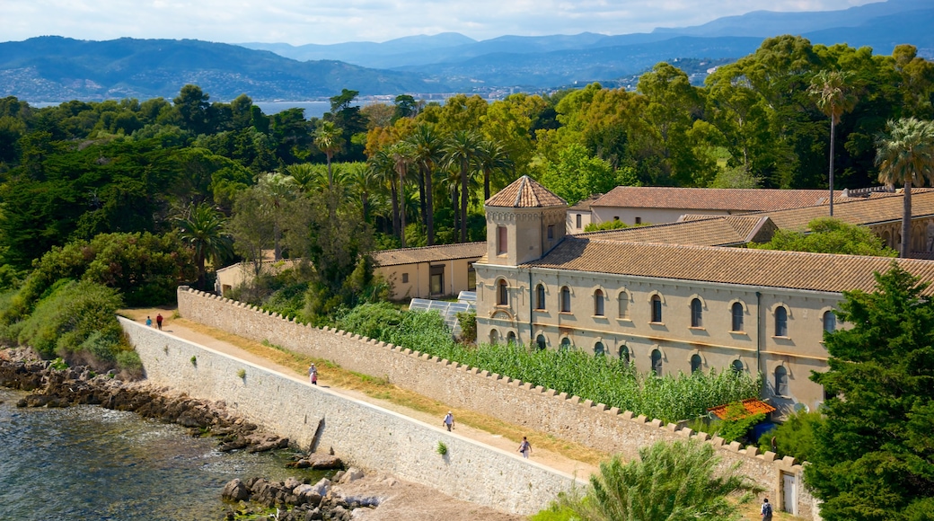 Île Saint-Honorat welches beinhaltet Geschichtliches und historische Architektur