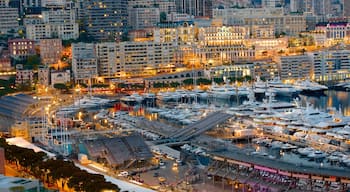 Monaco showing a coastal town and a marina