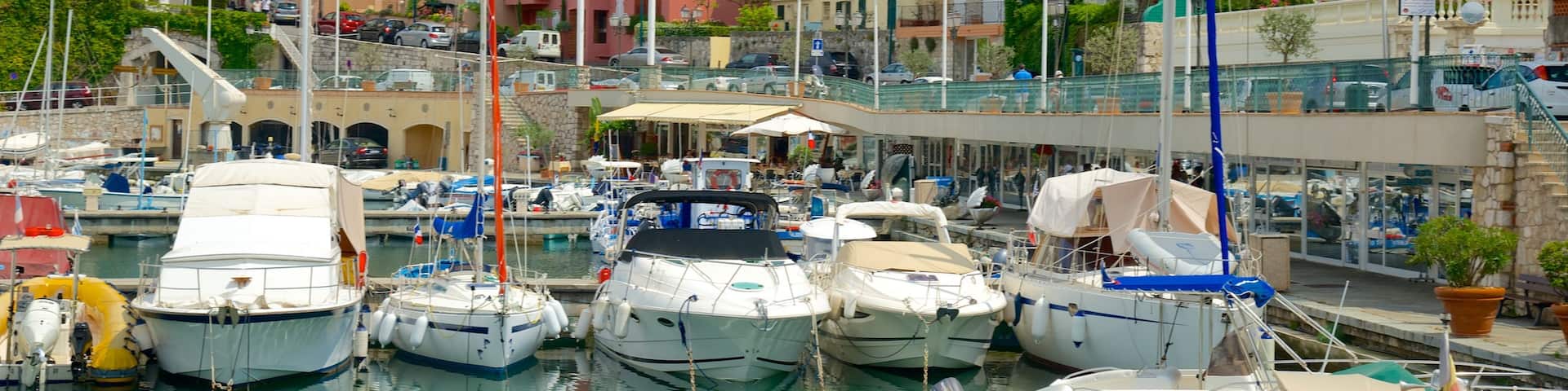 Saint-Jean-Cap-Ferrat mit einem Küstenort und Marina