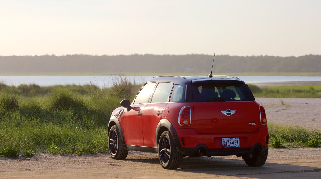 Assateague Island National Seashore presenterar kustutsikter