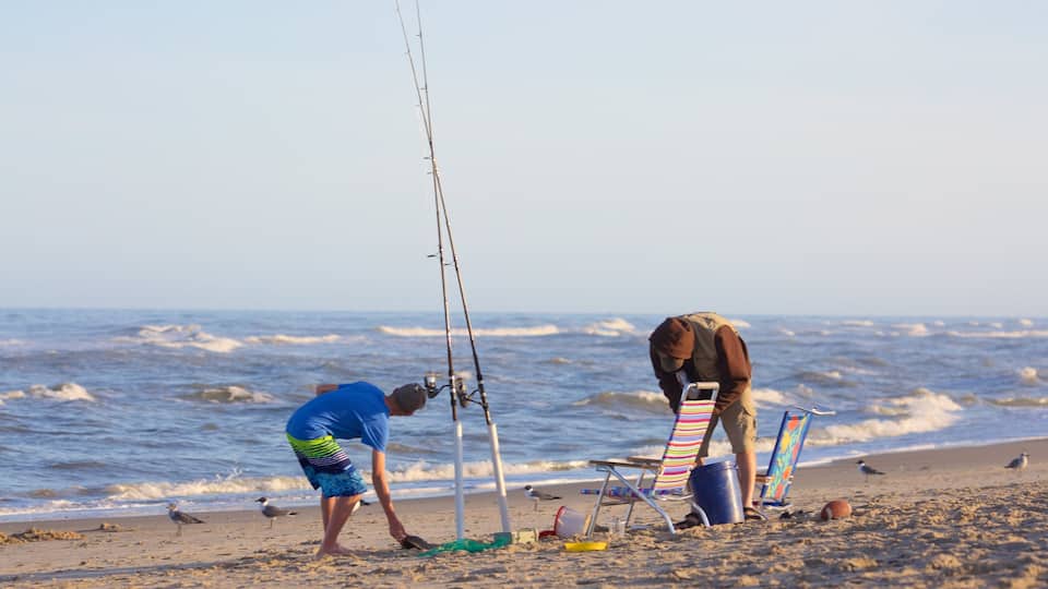 Assateague Island National Seashore showing fishing, waves and a sandy beach
