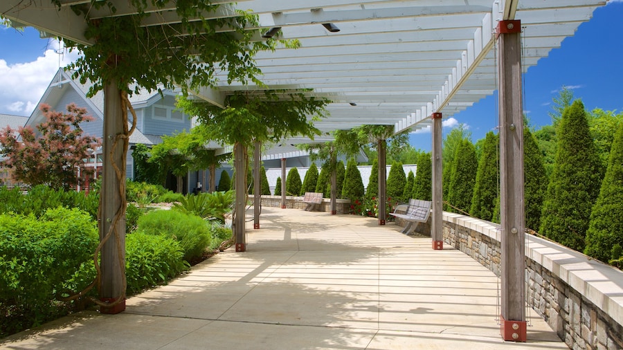 Vườn cây gỗ Bắc Carolina