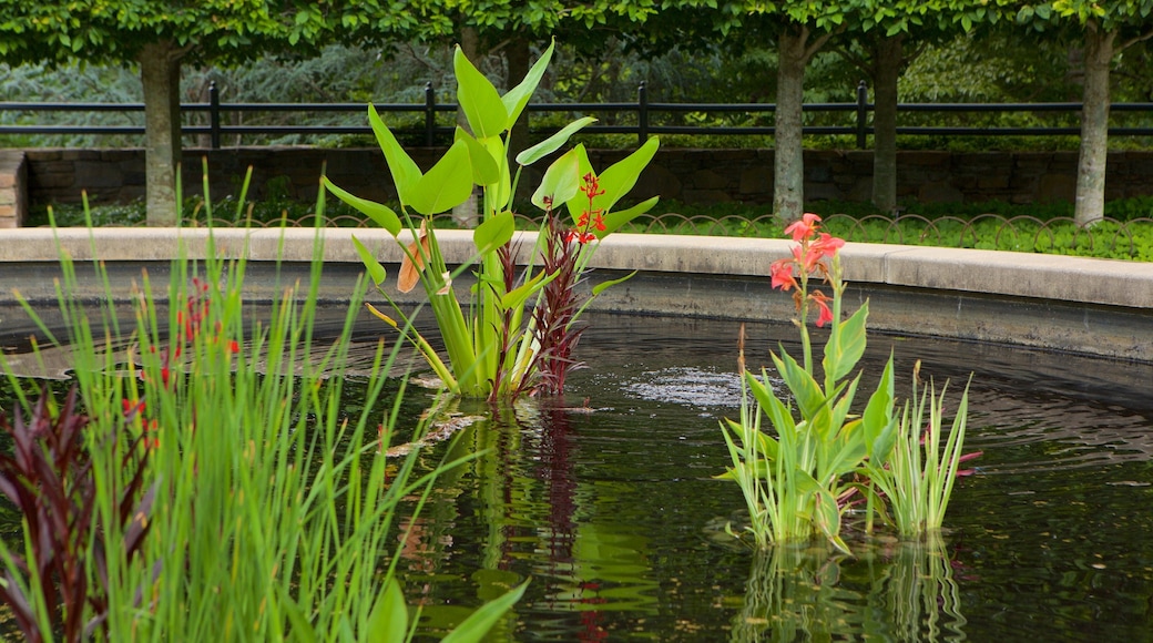 North Carolina Arboretum featuring a pond