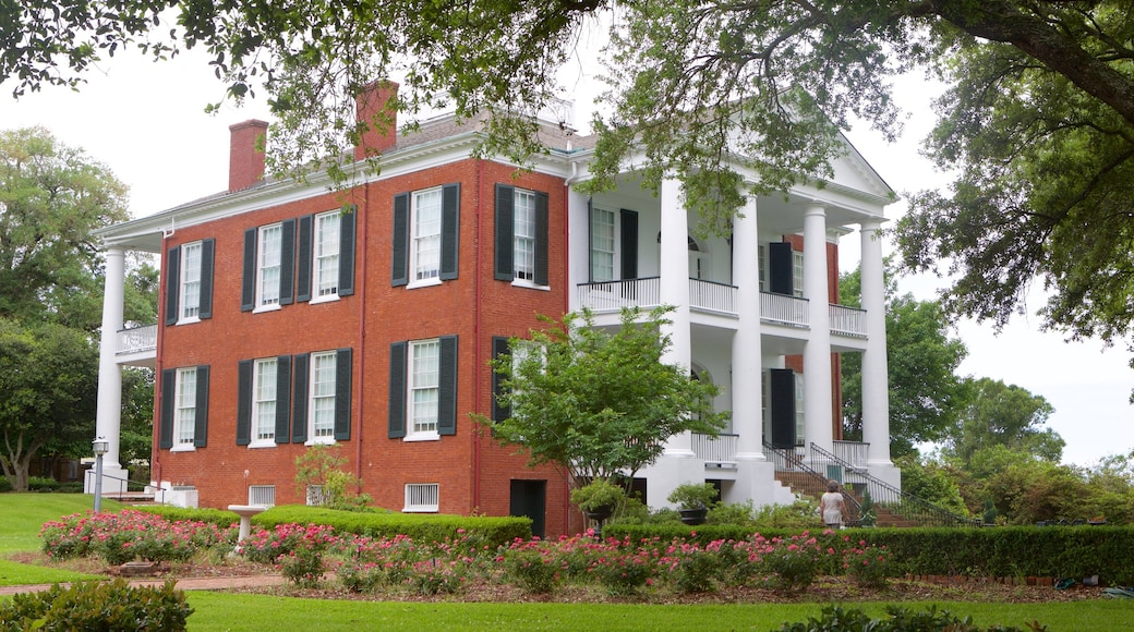 Rosalie Mansion showing a house, heritage elements and heritage architecture