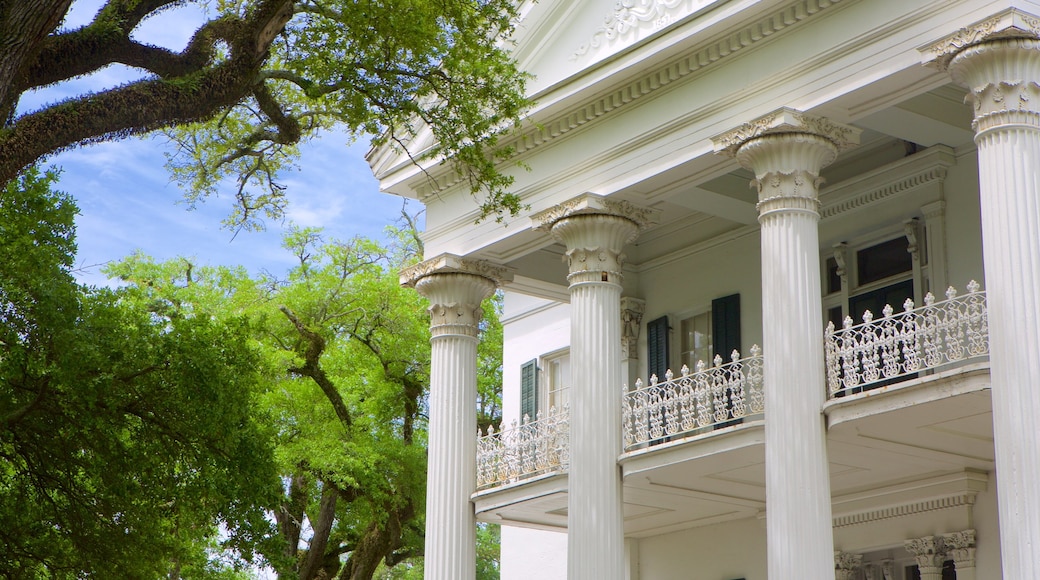 Stanton Hall mostrando elementos patrimoniales, una casa y arquitectura patrimonial