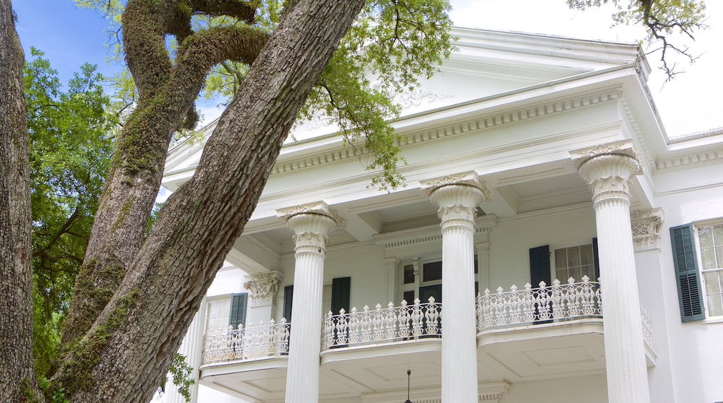 Stanton Hall which includes a house, heritage architecture and heritage elements