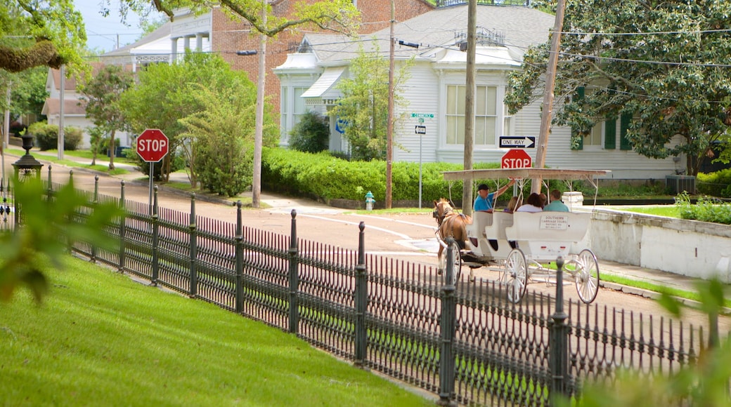 Stanton Hall showing land animals and vehicle touring