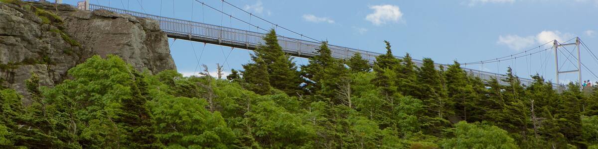 Grandfather Mountain das einen Brücke
