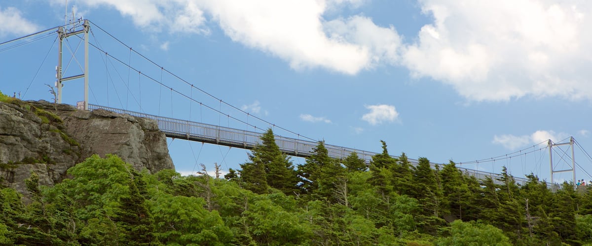 Grandfather Mountain showing a bridge