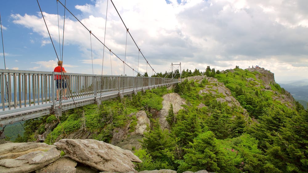 Grandfather Mountain mettant en vedette passerelle ou pont suspendu aussi bien que homme